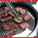 목천숯불생고기