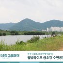 그린웰빙라이프