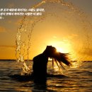 언덕위에하얀집 이미지