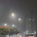 분노의 포효, 희망의 뇌성 이미지