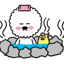 퍼피힐 이미지