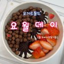 요거트월드 상남사거리점 | 요거트월드 2월 요월데이 두바이생딸기월드 반값 이용 후기