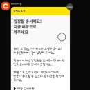 팟카파우