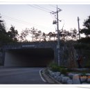 덕유장