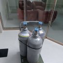 새울산제통의원 이미지