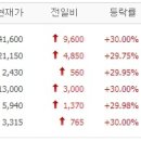 유니3호 태원 태양광발전소 | 내츄럴엔도텍, 지코, 코아스템, 에스엔텍 등 상한가/하한가 (2015년 6월 26일)