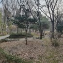 남산화원 - 중구 퇴계로 179 | 남산화원
