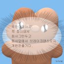 복싱 MMA 주짓수 마이티짐 이미지