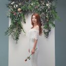 백장미 이미지