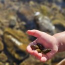 양양고인돌캠프 이미지