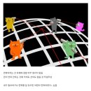 연락