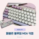 125 | 페블온 파스텔톤 조약돌 기계식키보드 MOA 블루밍 한글키캡 (125key) 내돈내산 후기