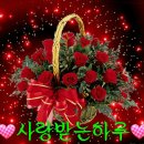 더나은PC 이미지