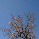 선산고을 이미지