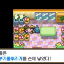 금빛플라워