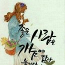 하루방호프