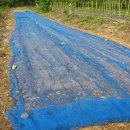 평우농장 이미지