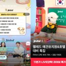 애견 11번가 이미지