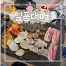 300 PC방 | 양덕동 맛집 | 포항 고기집 일품대패 양덕점 후기, 포항 삼겹살 가성비 최고