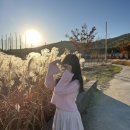 합천읍 합천초등학교+합천약국 | 11月