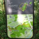 우면산5-5 이미지