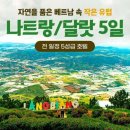 신세계관광항공여행사
