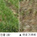 그린축산2 이미지