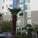 아주대동다숲2단지 이미지