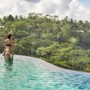 호텔정글(jungle) 이미지