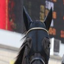 (주)레이스킨 이미지