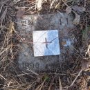 백수농업협동조합 이미지