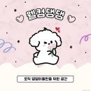 경기도 수원시 장안구 조원로50번길 이미지