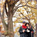 세동민박 이미지