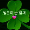 행운 이미지