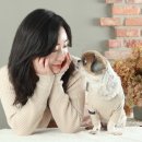 미니안스튜디오 이미지