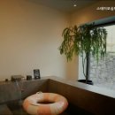 스테이모심 제주펜션 네이버블로그