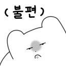 자리움 풀빌라 이미지