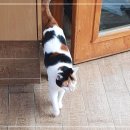 김성록동물병원 이미지