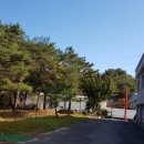 사파리모텔 이미지