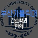 부산가톨릭대학교 | 부산가톨릭대 간호학과 편입 준비해서 성공한 후기(부산가톨릭대학교)