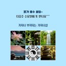 황금부자샵 이미지