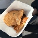 [겨울]생각톡과학실험B | [KU] 고려대학교 신경 관련 연구실 학부연구생 후기 (겨울방학)