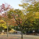 정발산공원 이미지