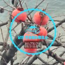 BEST 행정사사무소 이미지