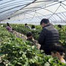 드림농장 이미지