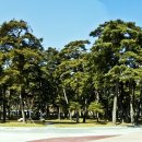 자연숲펜션 이미지