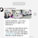 더파크동물의료센터 | [동동일기] 동동이의 양쪽 슬개골 탈구 수술, 회복 후기 :: 24시 더파크동물의료센터
