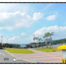 푸른자동차공업사 이미지