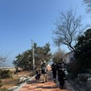 거북민박 | 🌊 여수 사도 여행 총정리:배시간부터 공룡 발자국 명소까지 👣