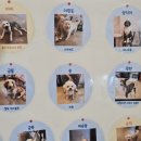이리오시개 이미지